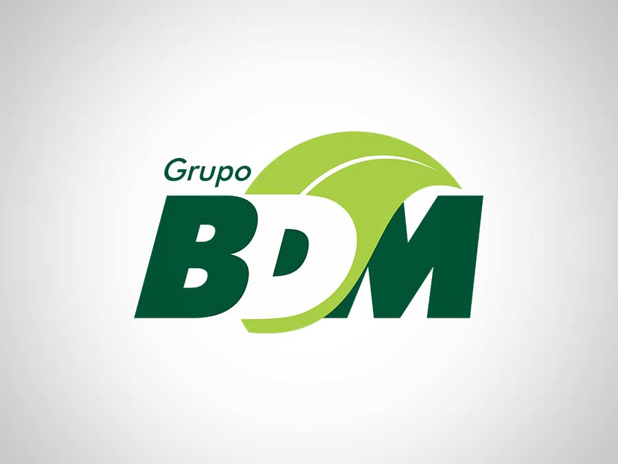Grupo BDM