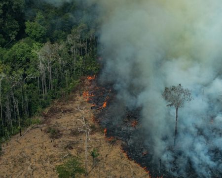 Governo suspende a prática de queimadas em todo o país por 60 dias