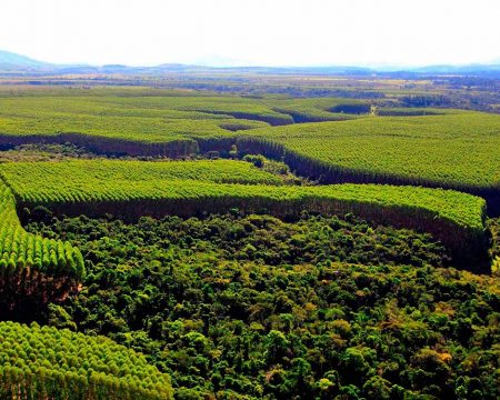 Cadastro Ambiental Rural passa a ser obrigatório na declaração do ITR