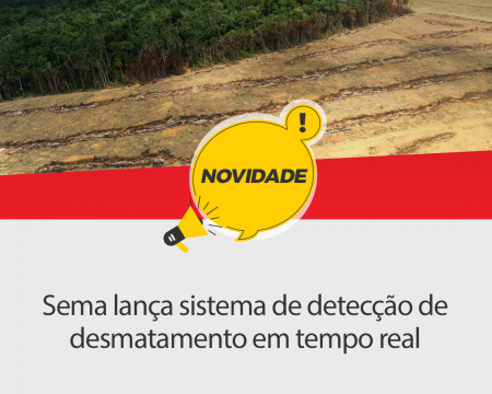 Sema lança sistema de detecção de desmatamento em tempo real