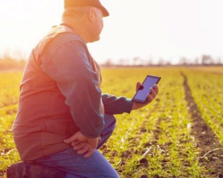 A partir do dia 02/09 o produtor rural já poderá emitir o CCIR 2019