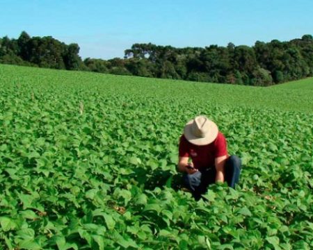 Fique atento: Cadastro Rural inativo leva a perda de benefícios.