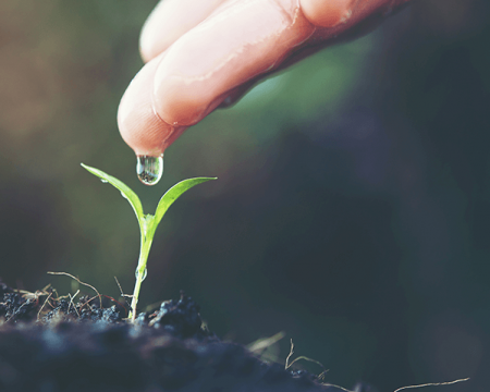 Sustentabilidade na Agricultura: como a agricultura sustentável pode ajudar o mundo