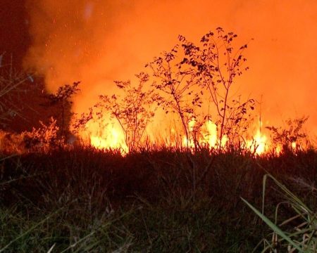 Mato Grosso antecipa o período proibitivo do uso do fogo