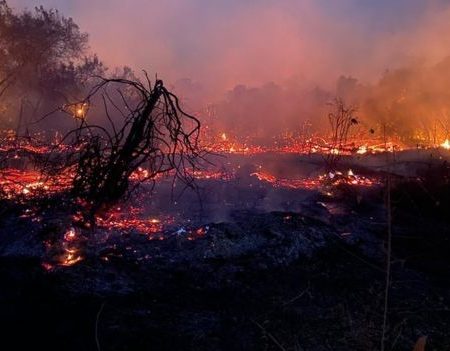 Governo de MT anuncia decreto de calamidade por causa de incêndios florestais