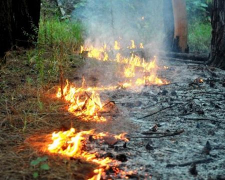 Incêndio atinge área de preservação ambiental e pastagem de fazenda em Prata