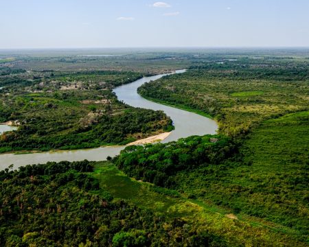 Novas regras para limpeza de áreas rurais garantem conservação ambiental e recuperação financeira no Pantanal