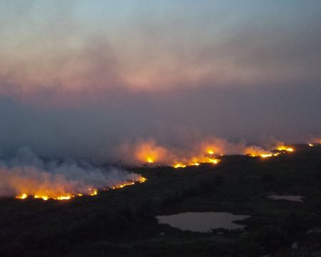 Pantanal é principal indício de que Brasil está secando; área perdeu 74% da água