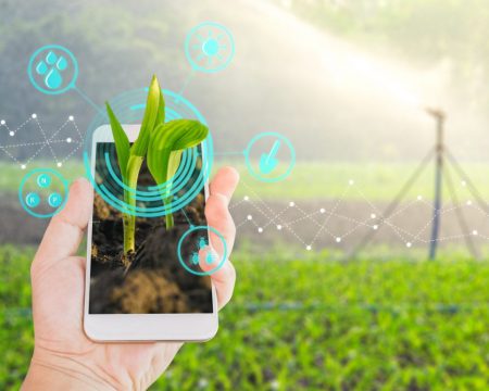 A mente do agricultor na era digital