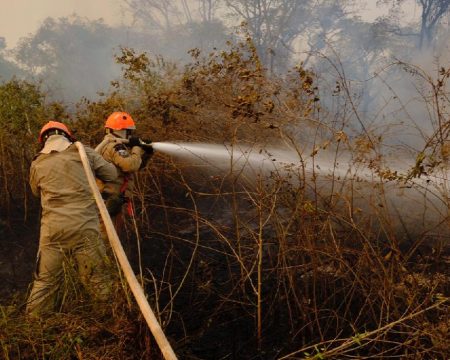 Período proibitivo do uso do fogo em Mato Grosso vai de 1º de julho a 30 de outubro