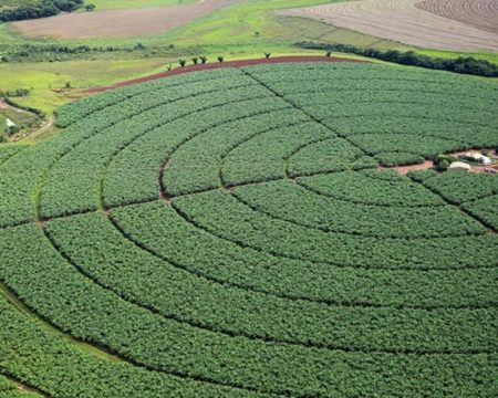 O agronegócio do Brasil já é ESG