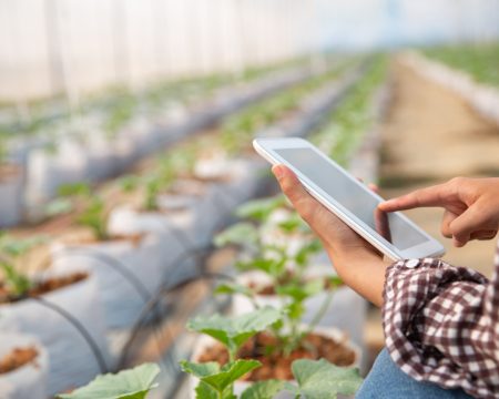 Agricultura digital: conheça os avanços e os desafios no Brasil