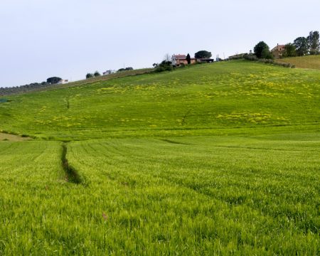 Corra! Prazo para regularizar imóveis em área de fronteira termina em 2025