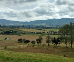 Em 12 anos, apenas 3% das análises do Cadastro Ambiental Em 12 anos, apenas 3% das análises do Cadastro Ambiental Rural foram concluídas, apontam dados obtidos com exclusividade pelo g1Rural foram concluídas, apontam dados obtidos com exclusividade pelo g1