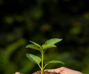 Sema inicia 6ª edição Mutirão de Conciliação Ambiental nesta terça-feira (22) Iniciativa é realizada em parceria com o Tribunal de Justiça, Ministério Público Estadual,, Procuradoria-Geral do Estado e Polícia Judiciária Civil