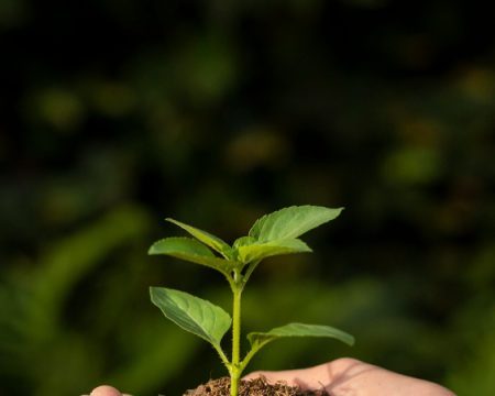 Sema inicia 6ª edição Mutirão de Conciliação Ambiental nesta terça-feira (22) Iniciativa é realizada em parceria com o Tribunal de Justiça, Ministério Público Estadual,, Procuradoria-Geral do Estado e Polícia Judiciária Civil