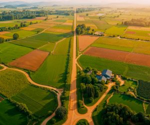 Hectare ou alqueire: quando usar cada medida?