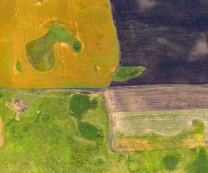 FISCALIZAÇÃO ATRAVÉS DE SENSORIAMENTO REMOTO