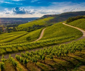 CCIR 2026 poderá ser emitido a partir de 19 de maio