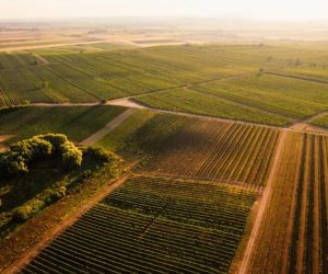 Justiça suspende parcialmente efeitos do Decreto nº 12.689/2025 e volta a exigir certificação para imóveis acima de 100 hectares