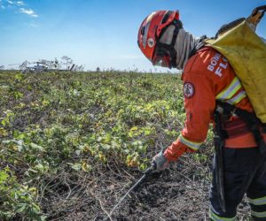 Governo de Mato Grosso publica decreto que estabelece período proibitivo de uso do fogo