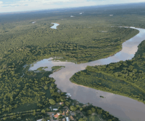 MT dispensa autorização prévia para aceiros de até 40 metros no Pantanal: entenda o que muda para o produtor